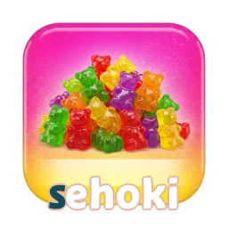 SEHOKI — ikon APK